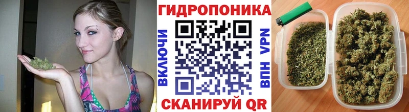 Конопля марихуана  где купить наркоту  Курган 